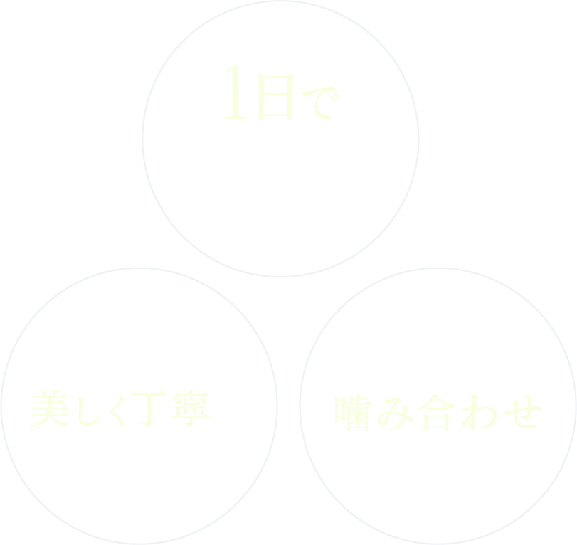 1日でセラミック治療が可能・笑顔まで考えた美しく丁寧な仕上がり・精密な診断と噛み合わせを重視