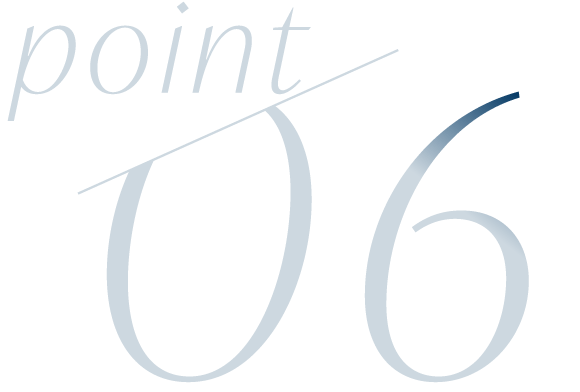 point 06