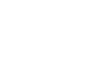 point 01