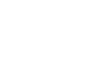 point 03
