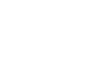 point 04
