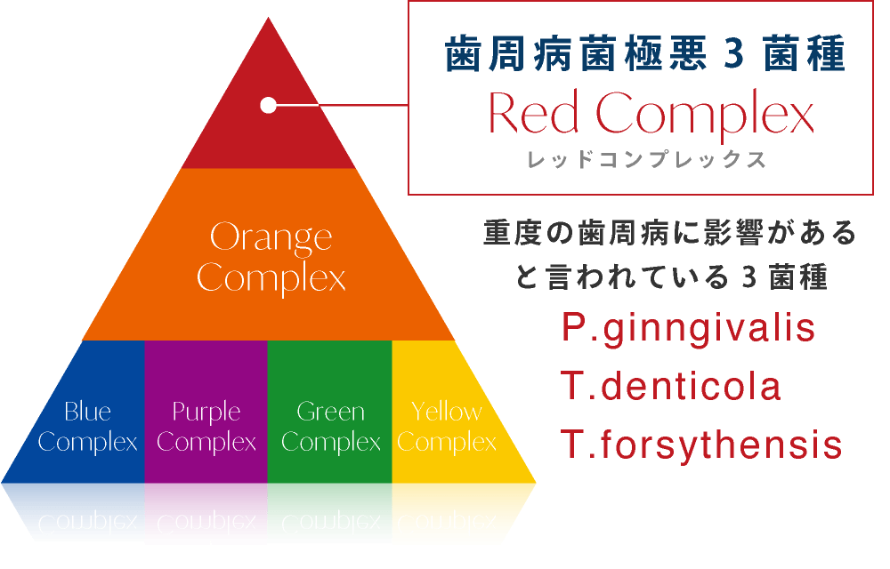 歯周病菌極悪3菌種 レッドコンプレックス